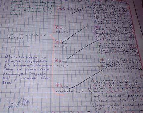 Hacer Un Cuadro Sin Ptico Diferenciando Los Tipos De Impresora