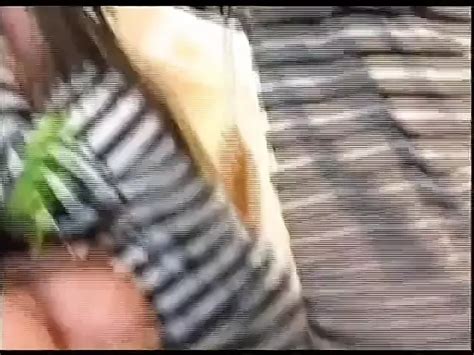 Kitten Anal Porn Videos XHamster