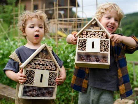 Mantel Unehrlich Gesch Ftsbeschreibung Abri Pour Insectes Ziehen Alles