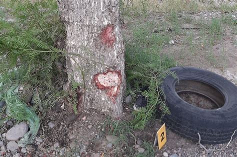 Un Motociclista Falleci Tras Impactar Contra Un Rbol