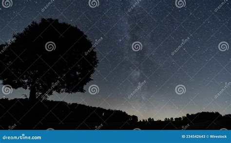 Silhouette Of A Single Tree Under The Starry Sky Stock Image Image Of