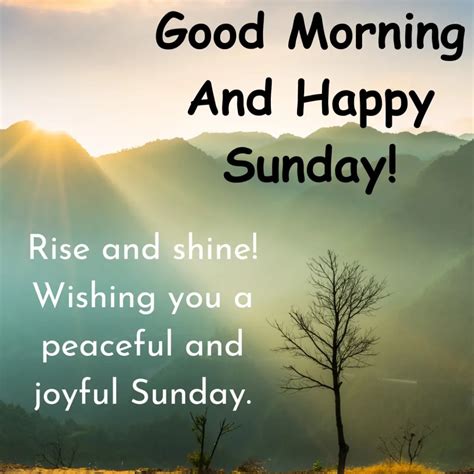 sunday morning nature images   good morning sunday images