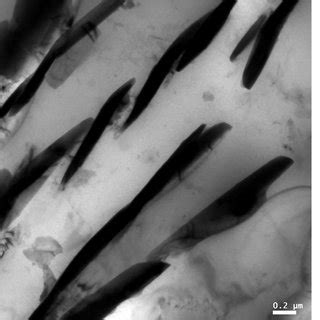 Precipitate Type I In The Cu Free Hsla Hull Structure Steel A