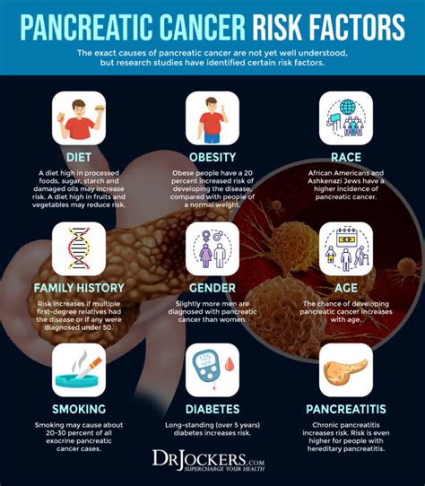 Pancreatic Cancer Symptoms Causes And Support Strategies