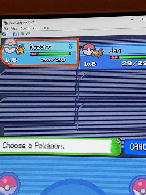 Accidentally Lost My Starter In Platinum Hardcore Nuzlocke Stuck With These Two Legends R