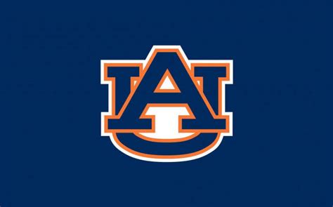 [100+] Auburn Football Wallpapers | Wallpapers.com