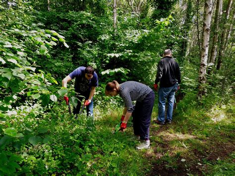Community Gardening... - Community Gardening Edinburgh