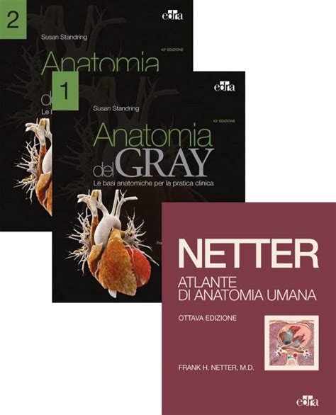 Netter Gray L Anatomia Trattato Di Anatomia Umana Xlii Edizione