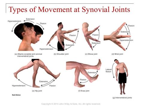 Concept Map Synovial Joint Movements - United States Map