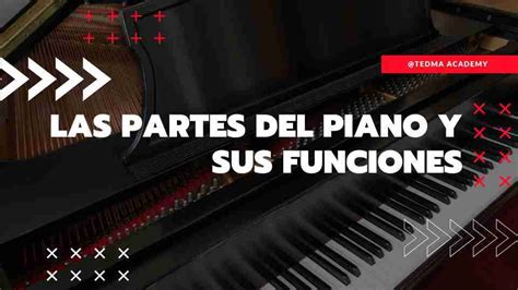 TODAS Las Partes Del Piano Su Estructura Y Funcionamiento