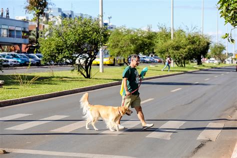 Sudoeste Octogonal Completa Anos R Milh Es Em I Flickr