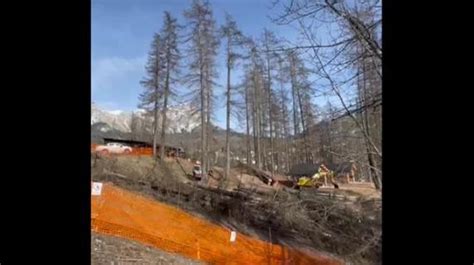 Pista Da Bob A Cortina Primi Larici Abbattuti Nel Cantiere Corriere Tv