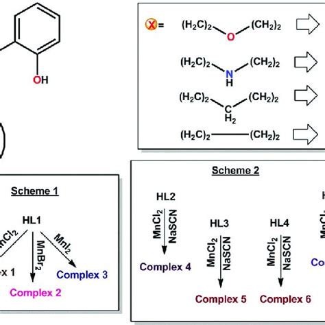 Synthetic Route Of Complexes 1 7 Download Scientific Diagram