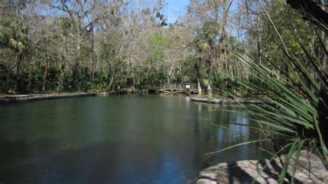 Wekiwa Springs Florida Hikes