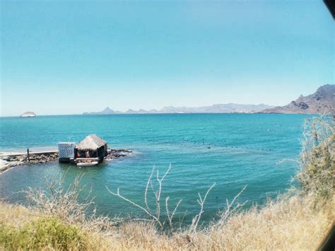 Conoce Las Exclusivas Perlas Del Mar De Cortez En Guaymas Sonora