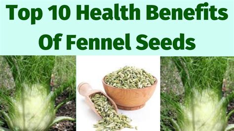 Top 10 Health Benefits Of Fennel Seeds Youtube