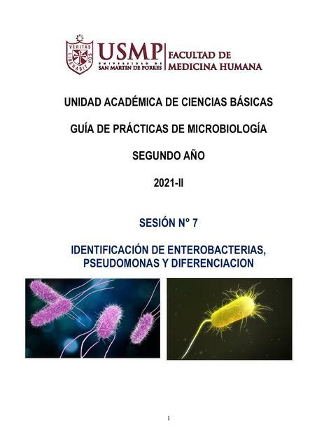 Identificación de Enterobacterias Pseudomonas y Diferenciación