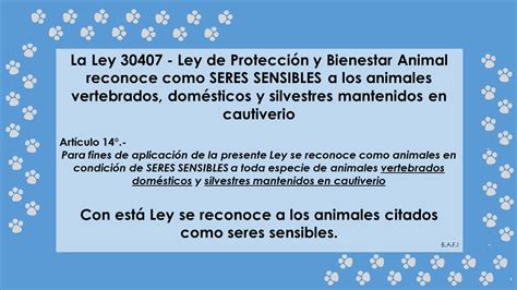 Cultura Animal La Ley De Protección Y Bienestar Animal Peruana Del 09