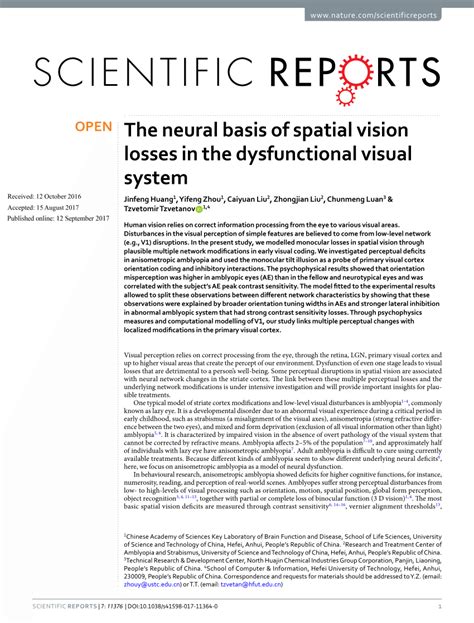 Pdf The Neural Basis Of Spatial Vision Losses In The Dysfunctional