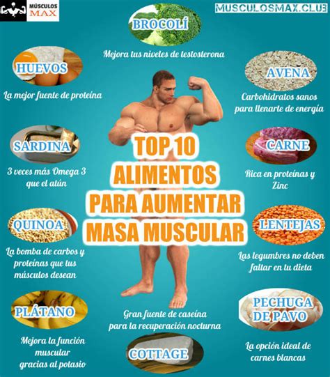 Los Mejores 13 Alimentos Que Puedes Comer Para Aumentar Masa Muscular Músculos Max