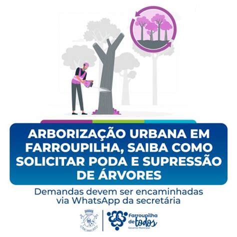 Arboriza O Urbana Em Farroupilha Saiba Como Solicitar Poda E