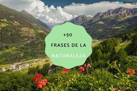 Frases De La Naturaleza Para Reflexionar