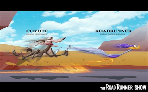 Road Runner Cartoon Wallpaper - WallpaperSafari