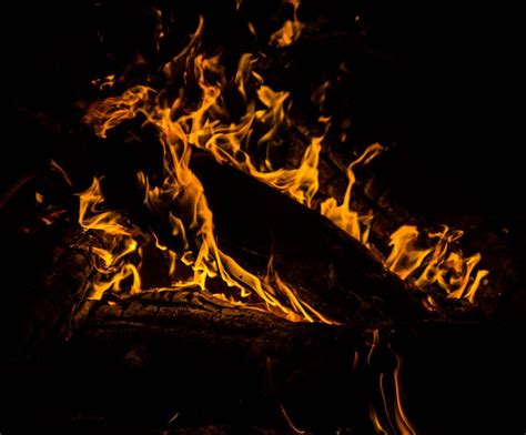 Burning Firewood · Free Stock Photo