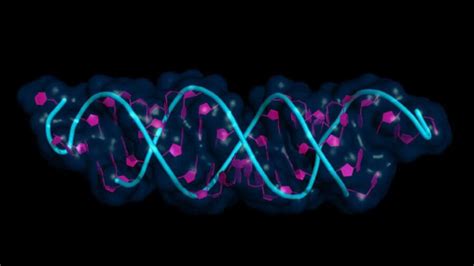 Crispr Prime Editing Dna Double Helix Singularity Hub