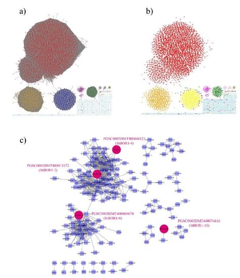 Sequence Similarity Network Ssn Of Stbor Transporters Ssn Was