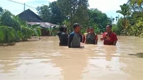 Tujuh Kelurahan Di Palopo Terendam Banjir Stok Makanan Dan Air Bersih