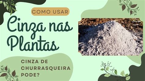 Como Utilizar Cinzas Nas Plantas Pode Usar De Churrasqueira Quais