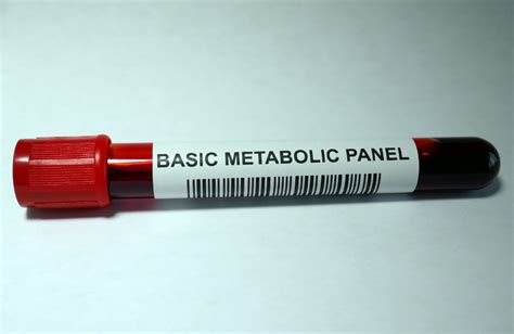 Understanding Basic Metabolic Panel Bmp Test Explained Maxinhealth Blog