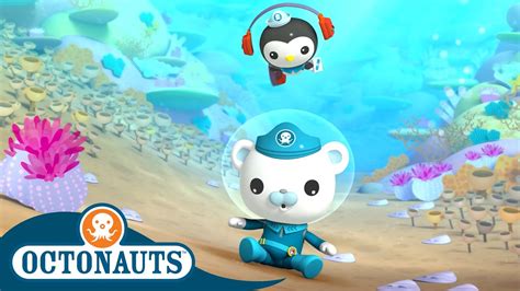 Octonauts Boom In The Ocean Cartoons For Kids Underwater Sea