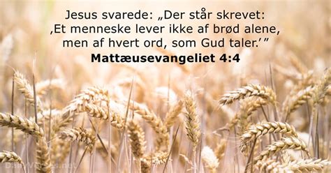 5 maj 2022 Dagens bibelvers Mattæusevangeliet 4 4 DailyVerses net