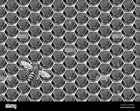 Honey Wax Seamless Texture Hi Res Stock Photography And Images Alamy