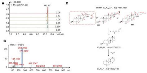 A The Extracted Ion Chromatograms Eics Showed That The Levels Of