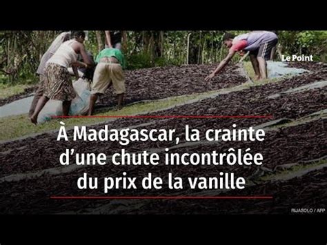 À Madagascar la crainte dune chute incontrôlée du prix de la vanille