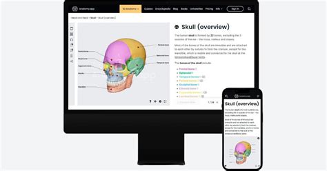 Digital Cadavers and Virtual Labs: a Futuristic Approach to Anatomy ...