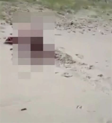 Naked Couple Filmed Having Sex On Beach In Full View Of Stunned Holidaymakers The Mirror