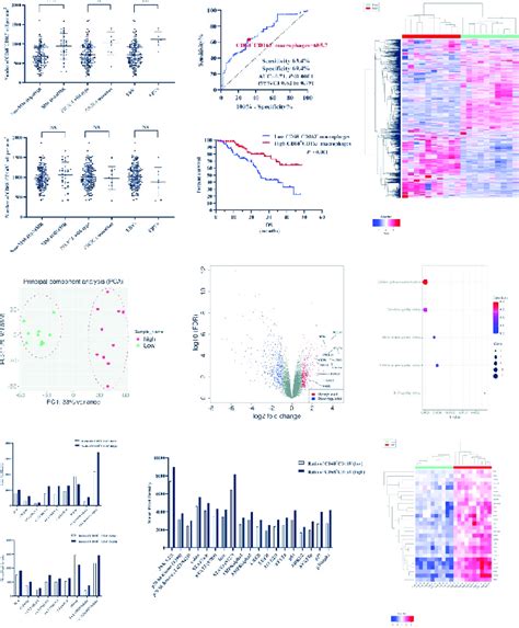 The Cd68 Cd163 − A Typical M1 Like Tumor Associated Macrophages Download Scientific Diagram