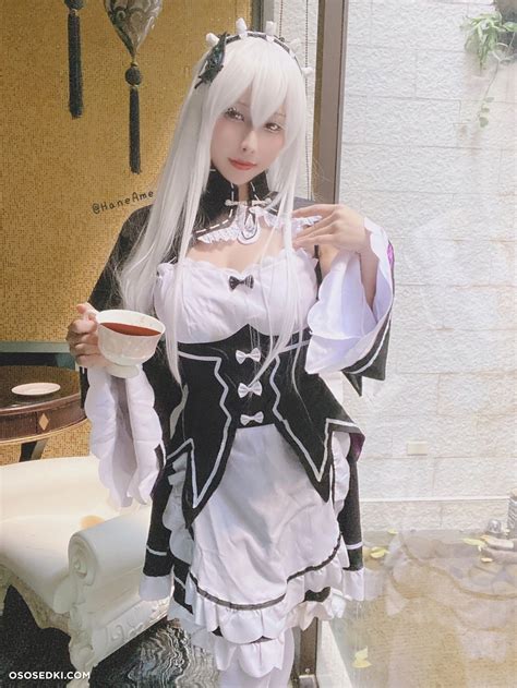 Hane Ame Haneame Cos Echidna Re Zero 16 Photos Leaked From