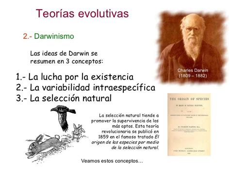 Imagenes De La Teoria De La Evolucion De Charles Darwin Slipingamapa