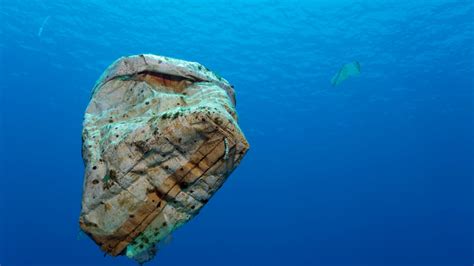 Mikroplastik im Wasser - WWF sieht eine "Plastifizierung" der Meere