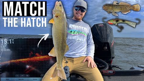 The Most AGGRESSIVE Way To Catch SUMMER Walleyes On Green Bay YouTube