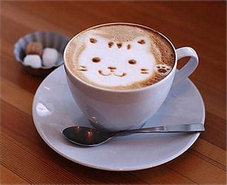 Cat Coffee Art: A Shot of Cute to Help Get You Through the Day - Catster