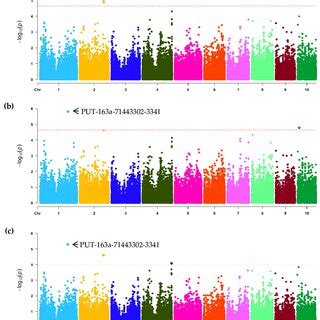 Manhattan Plot Of Genome Wide Association Analysis Gwas For Ger