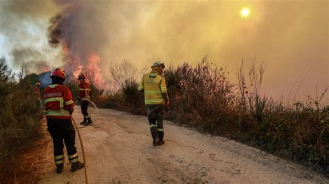 Portugal Mindestens sieben Tote bei Waldbränden tagesschau de