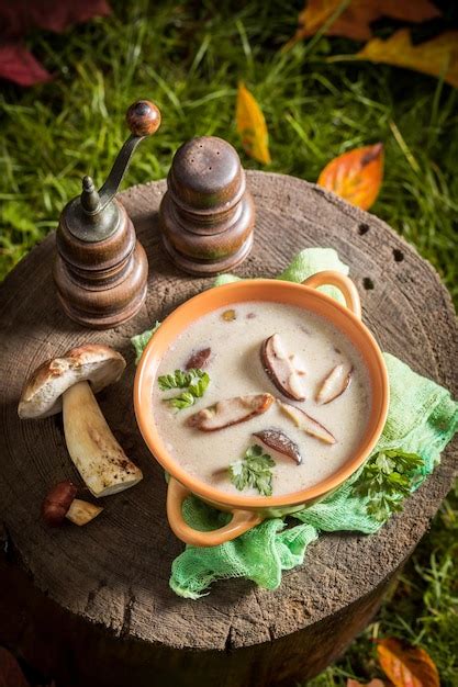 Disfruta de tu crema de boletus en un viejo tocón de madera Foto Premium