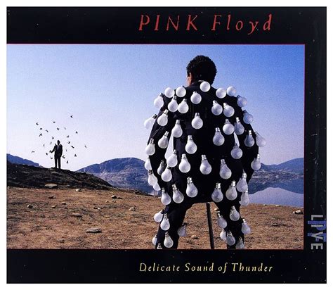 Pink Floyd Delicate Sound Of Thunder Limited Edition Blu Ray New Sealed